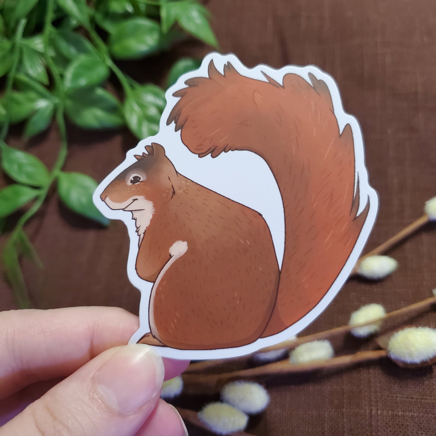 Red Squirrel Sticker