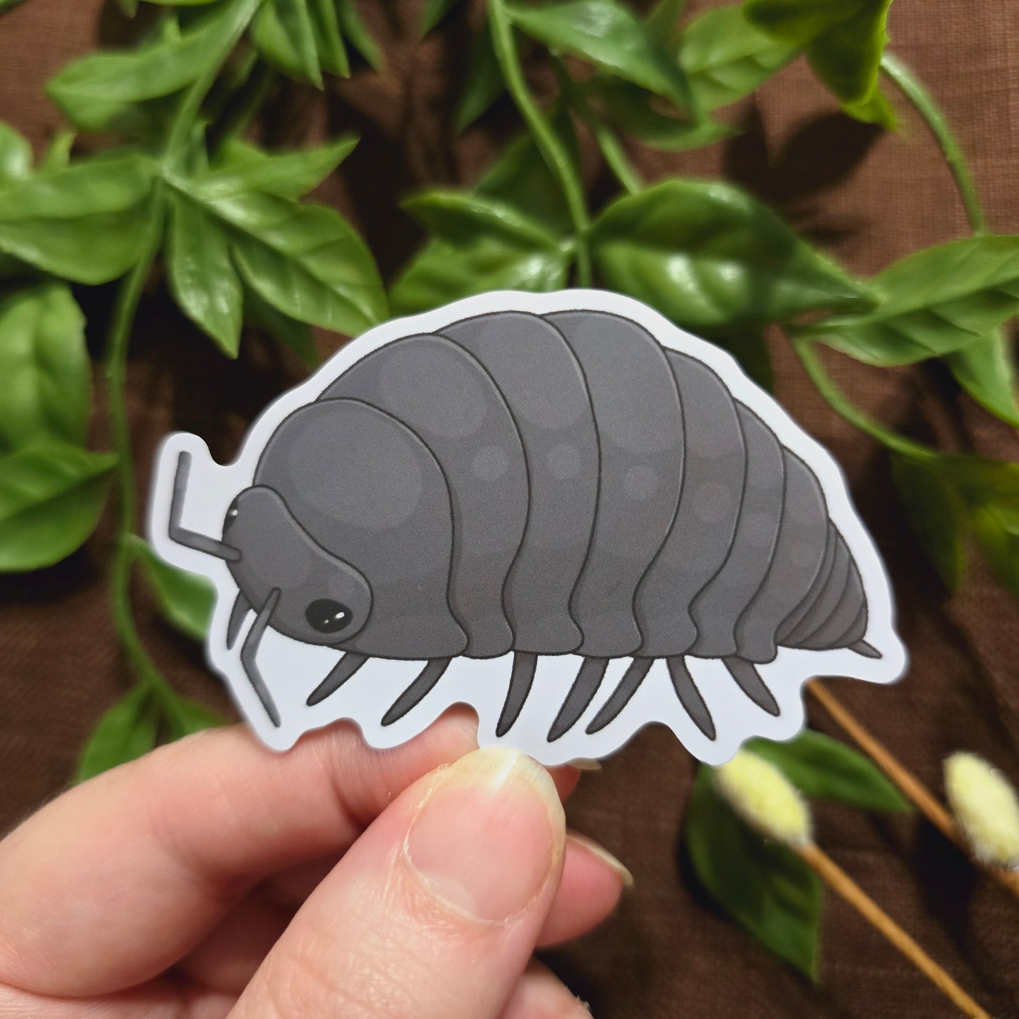Grey Pill Bug Sticker