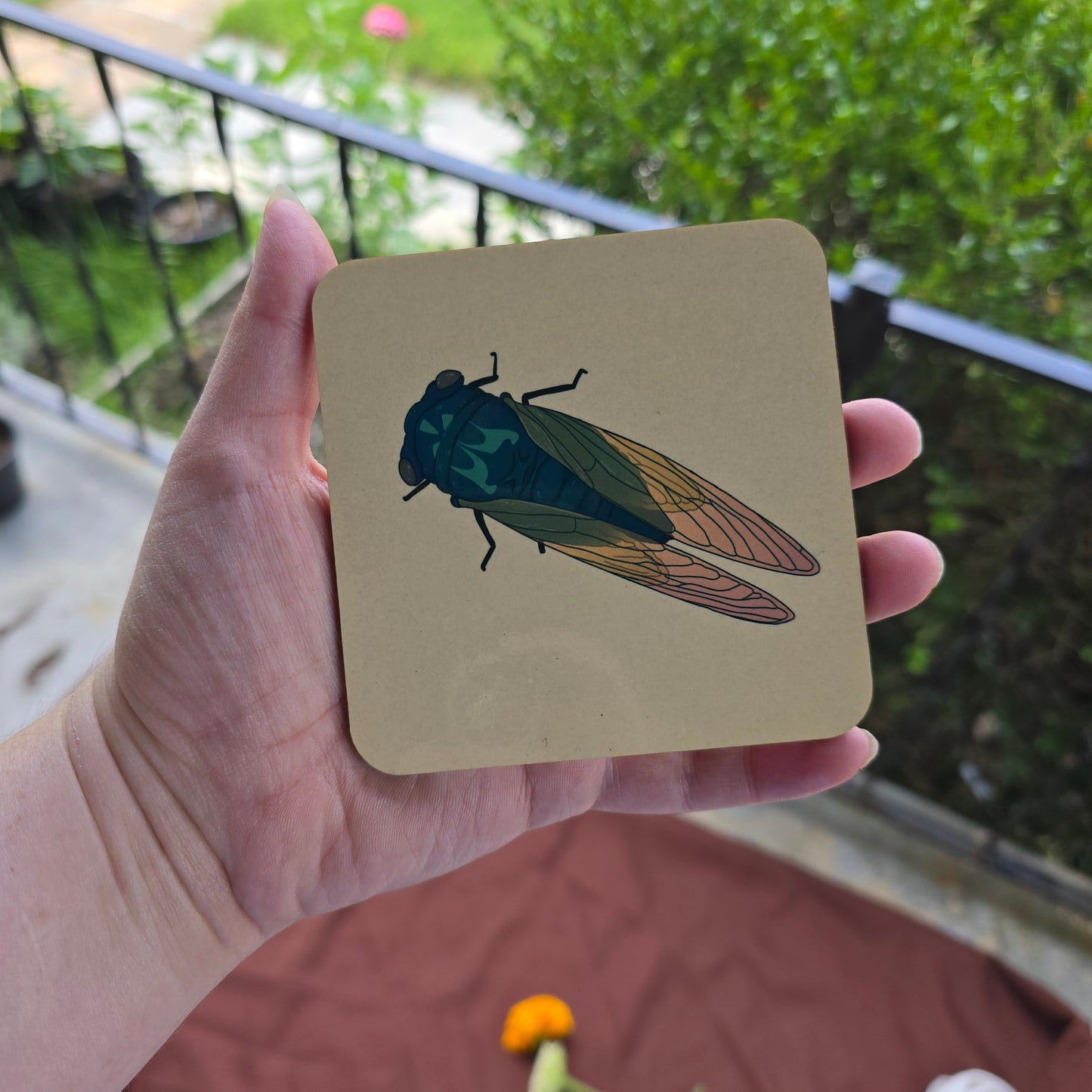 Summer Cicada Wooden Coaster