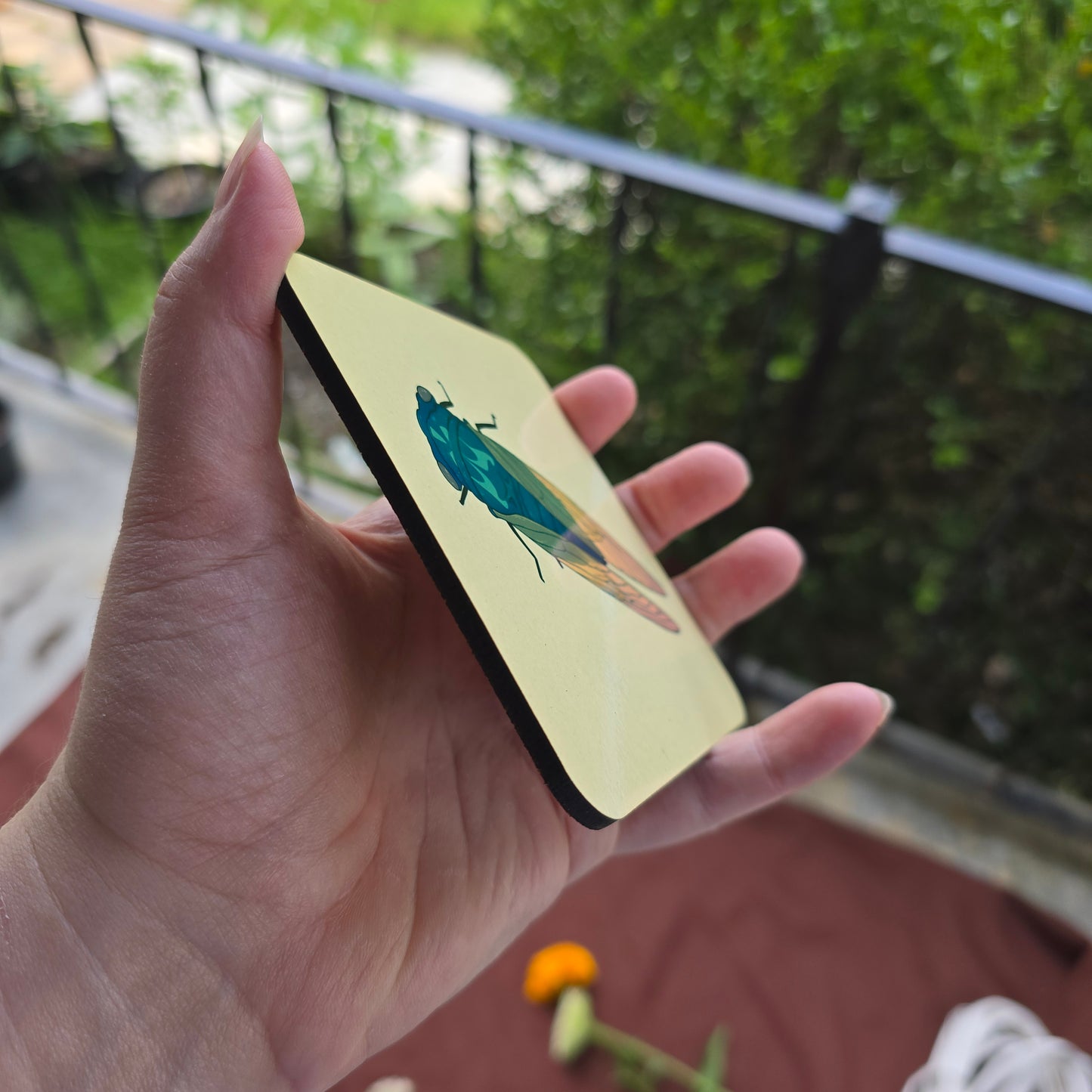 Summer Cicada Wooden Coaster