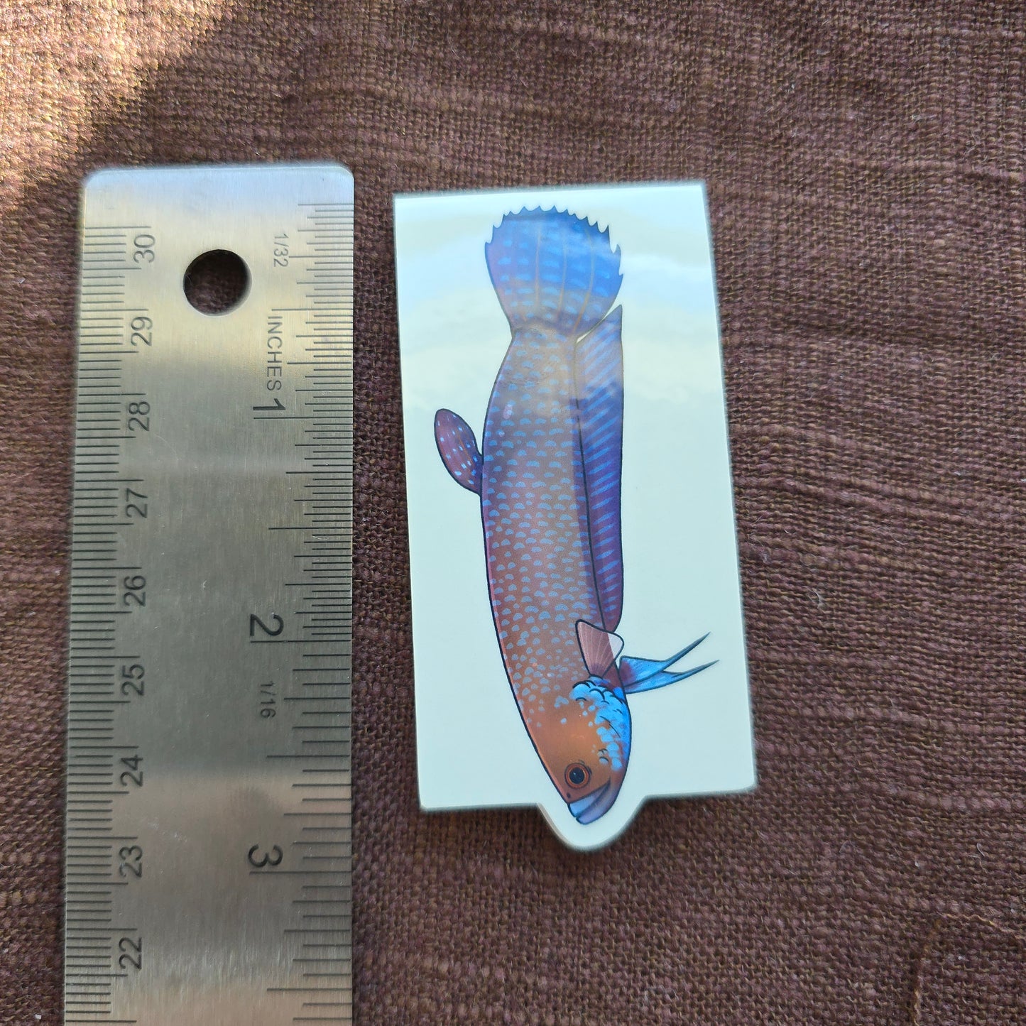 Long Beta - Magnetic Bookmark