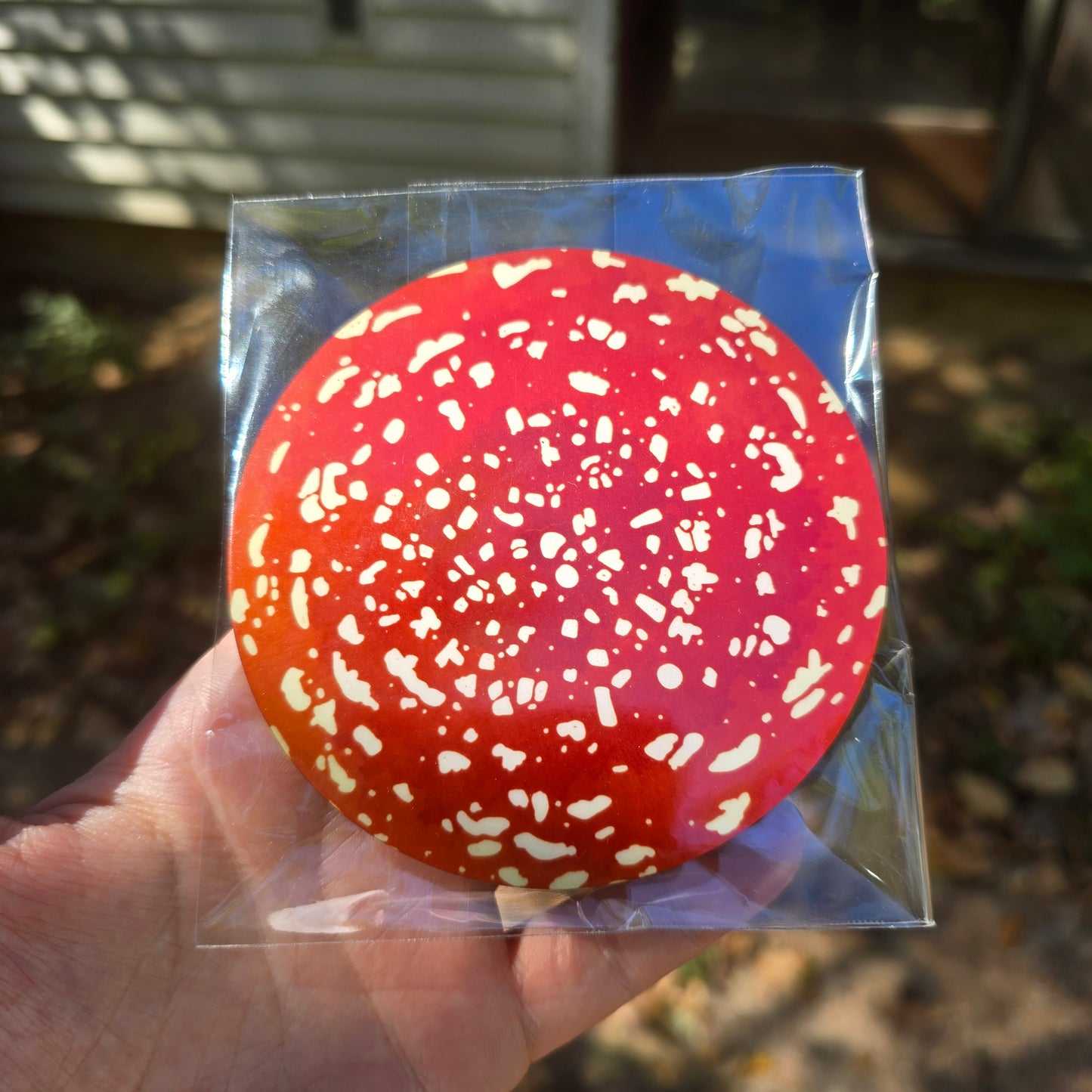 Fly Agaric Mushroom Coaster