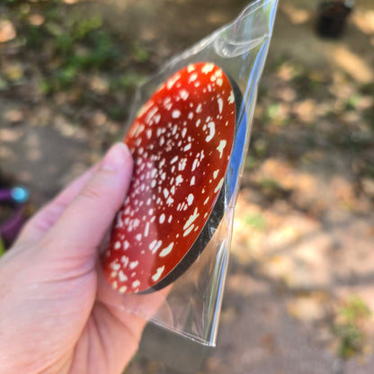 Fly Agaric Mushroom Coaster