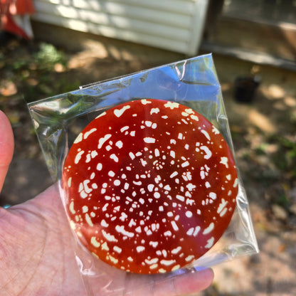 Fly Agaric Mushroom Coaster