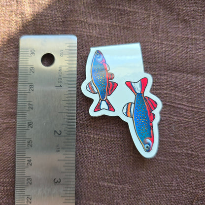CPD - Danio Margaritatus - Magnetic Bookmark