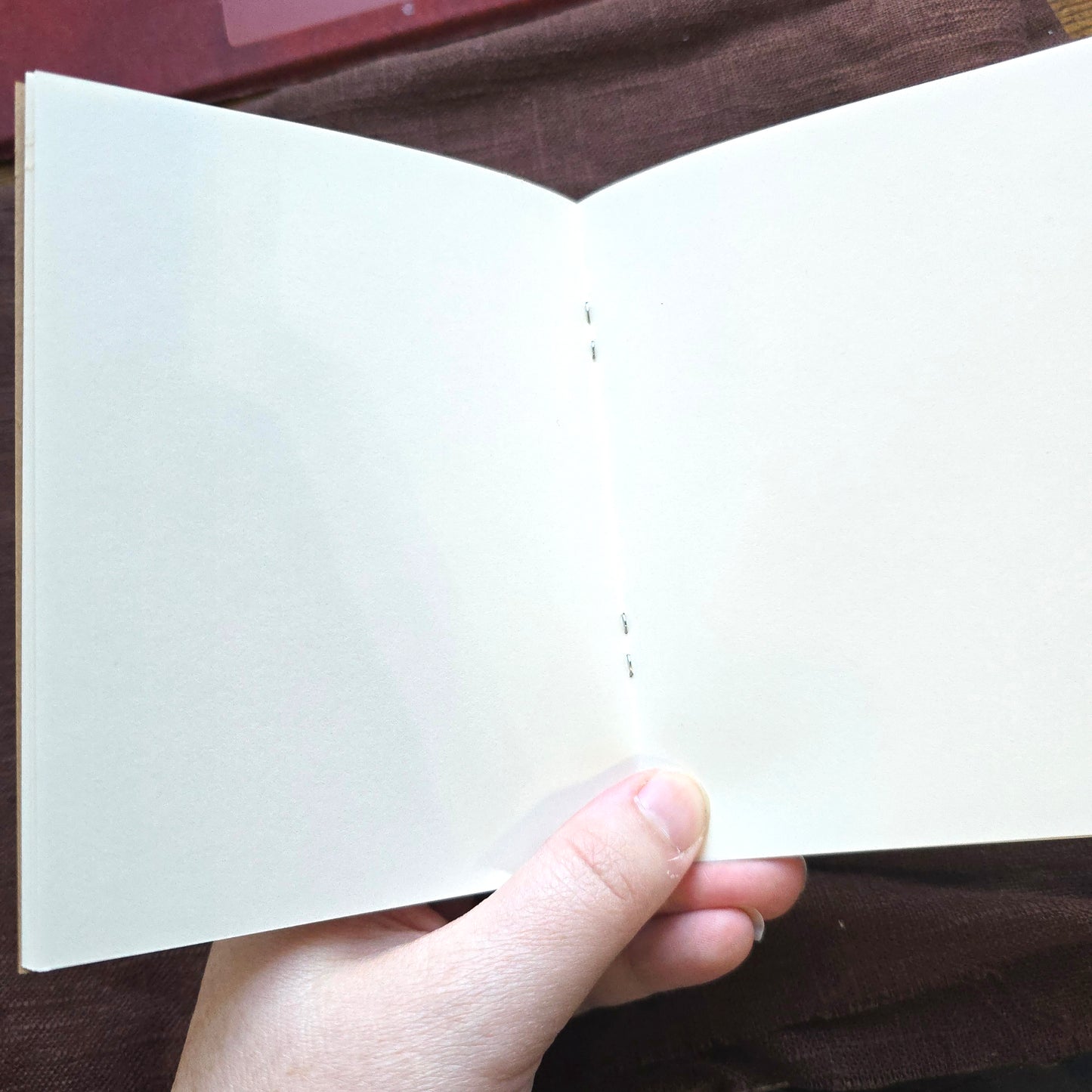 Chili Rasbora Pocket Notebook