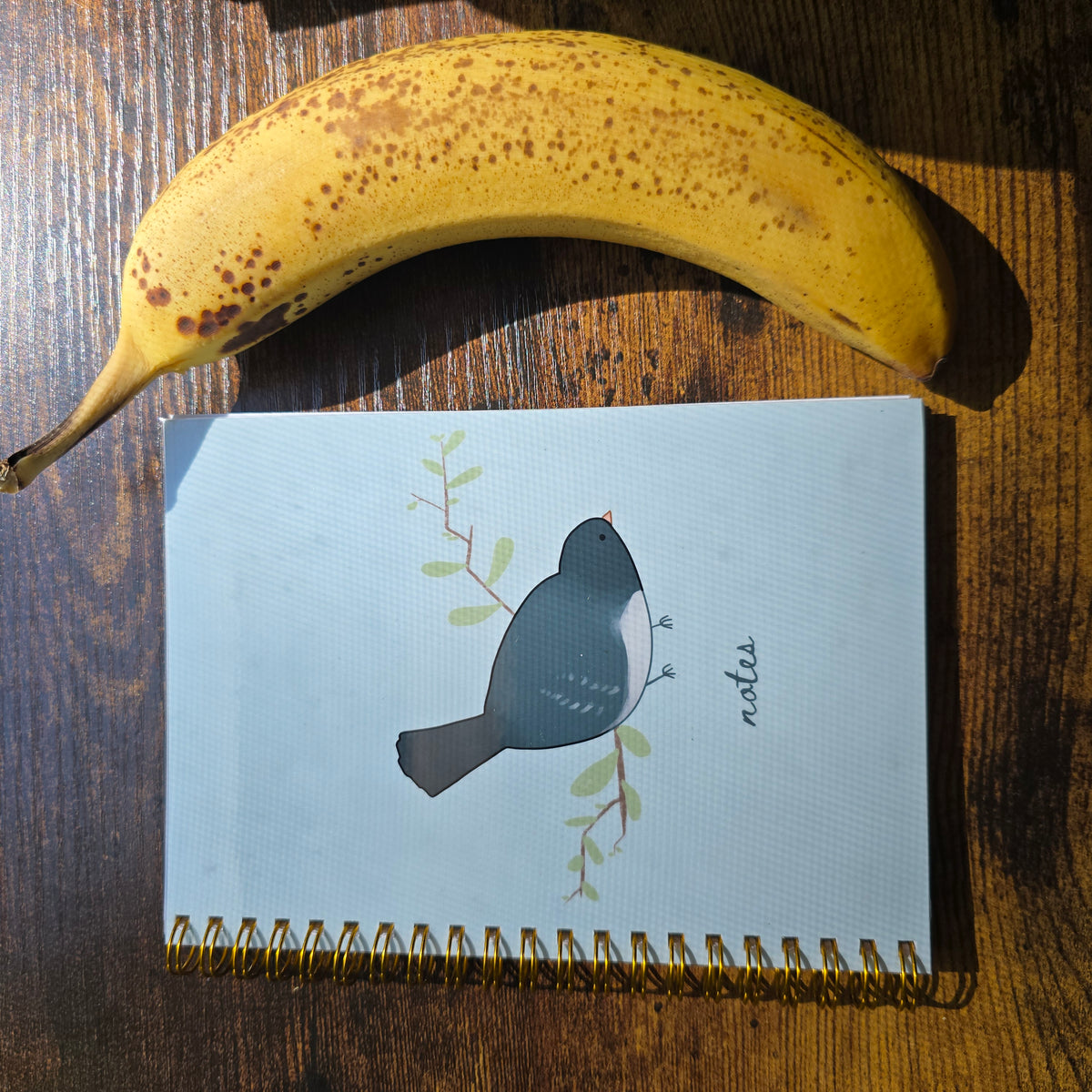 Lovely Winter Junco Notebook
